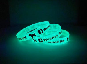 Glow in the Dark Debossed Colour Filled Silicone Wristbands - Promotions Only Wristbands