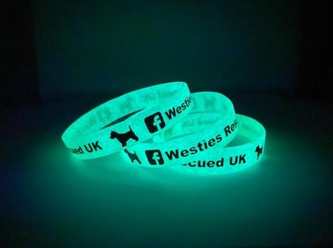 Glow in the Dark Debossed Colour Filled Silicone Wristbands - Promotions Only Wristbands